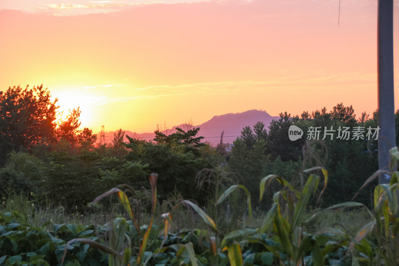 暮色下的田野远山