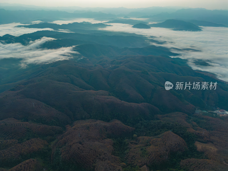 航拍日出时的高山和云海自然风光