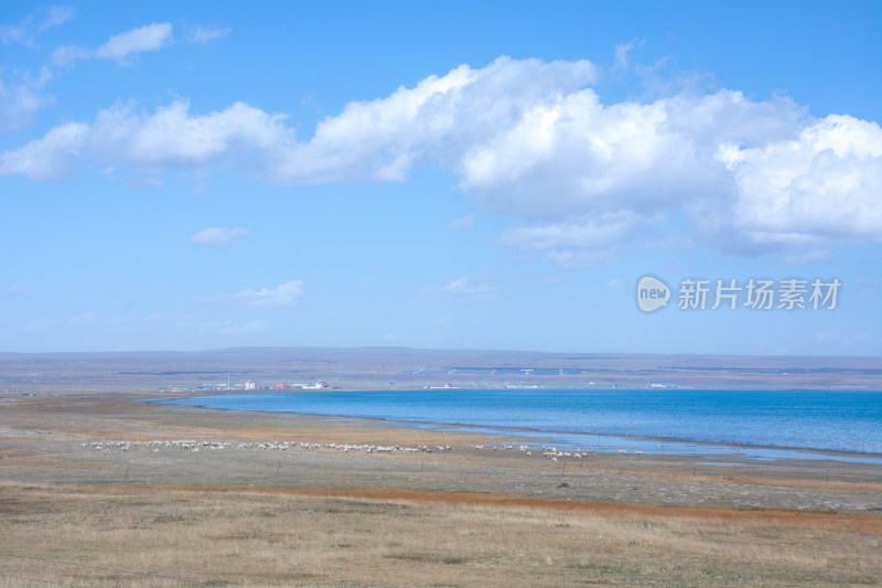 中国西部青海青海湖秋季自然风光