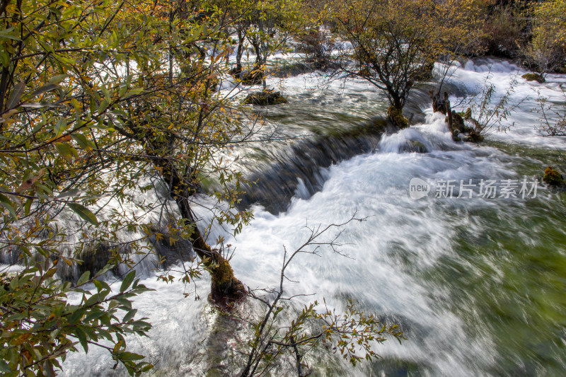 九寨沟秋色，树正群海山林溪流