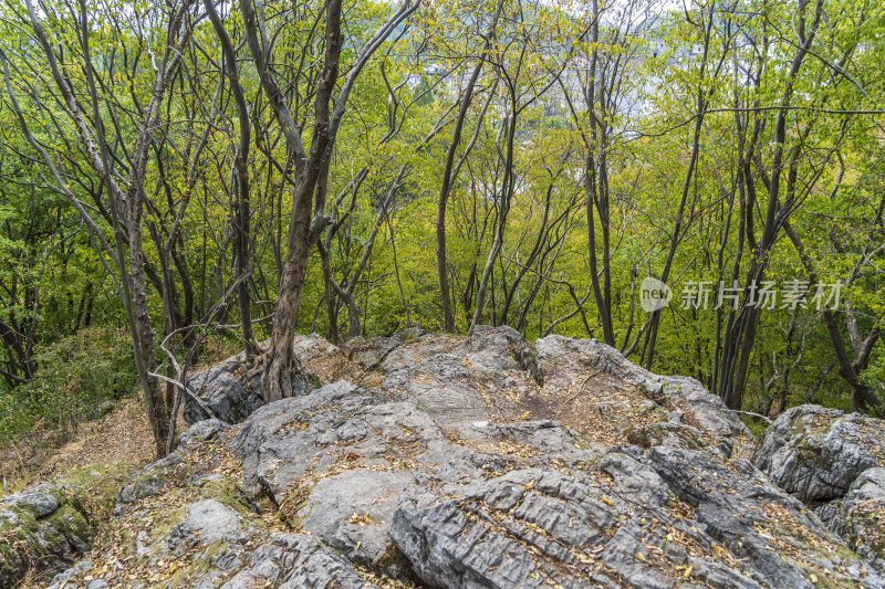 武汉江夏区白云洞景区风景