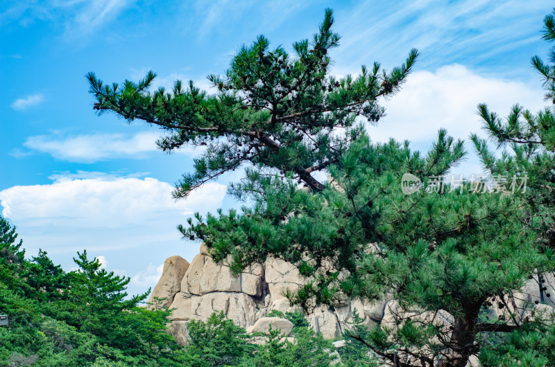 青岛崂山仰口景区，山后有一大团白云