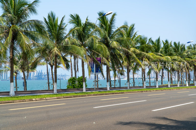 海口市滨海大道