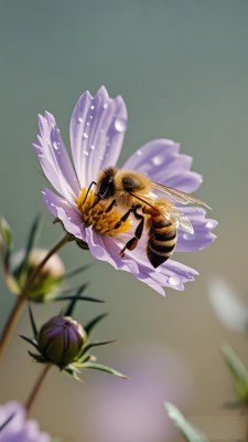 蜜蜂飞舞于油菜花田