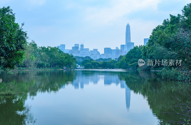 深圳笔架山公园湖泊树林与城市摩天大楼