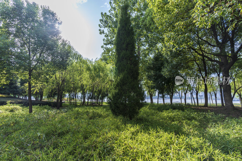 武汉武昌江滩公园风景