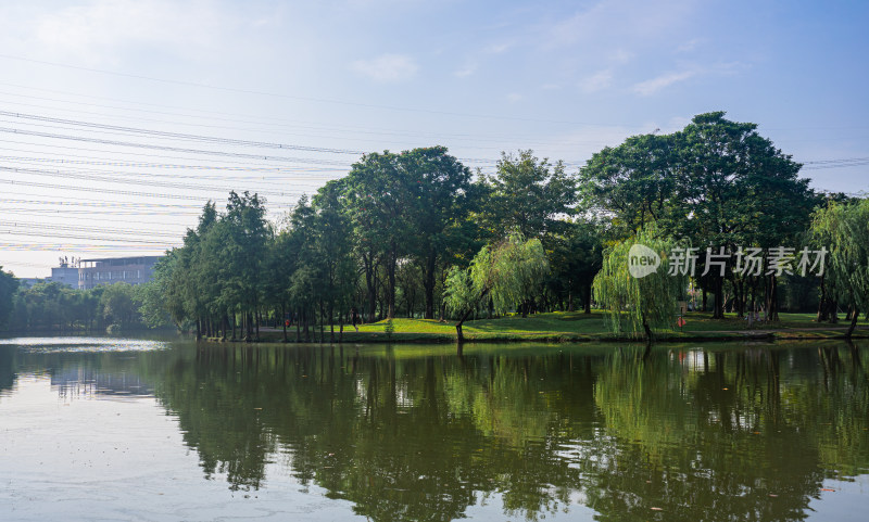 绿树环绕的平静湖水自然风光全景