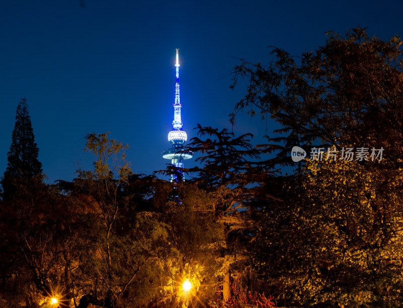 青岛电视塔夜景