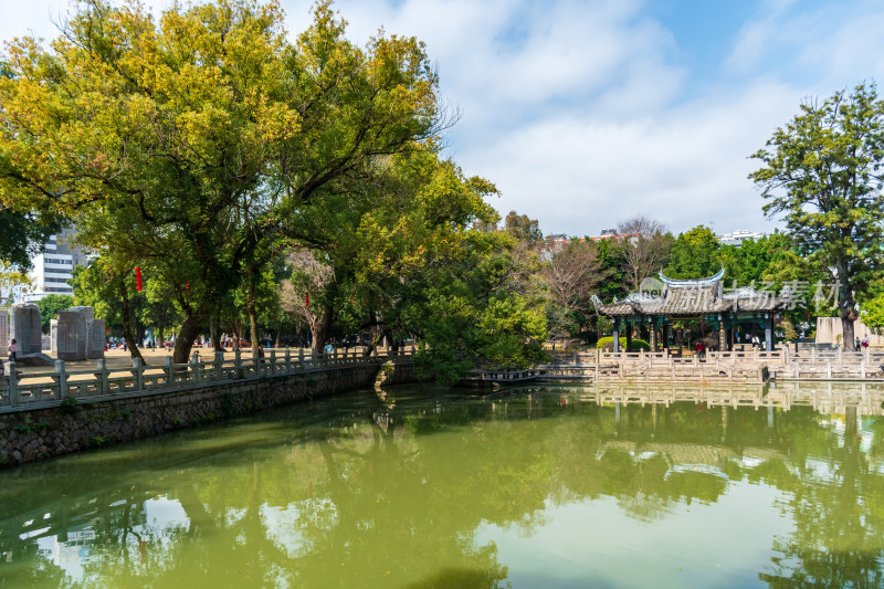 福州春天绿意盎然的冶山春秋公园景色