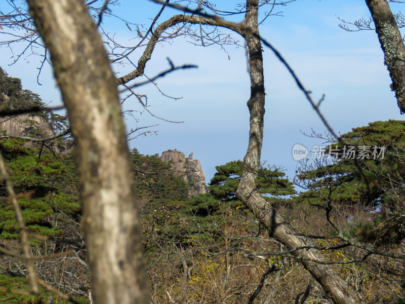 中国安徽黄山旅游风光