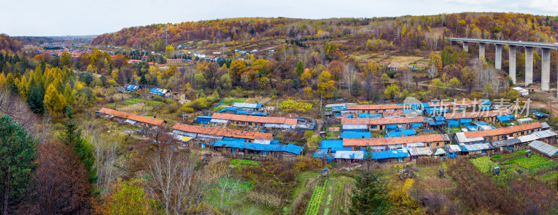 长白山景区壮观的高架桥下乡村秋色全景图