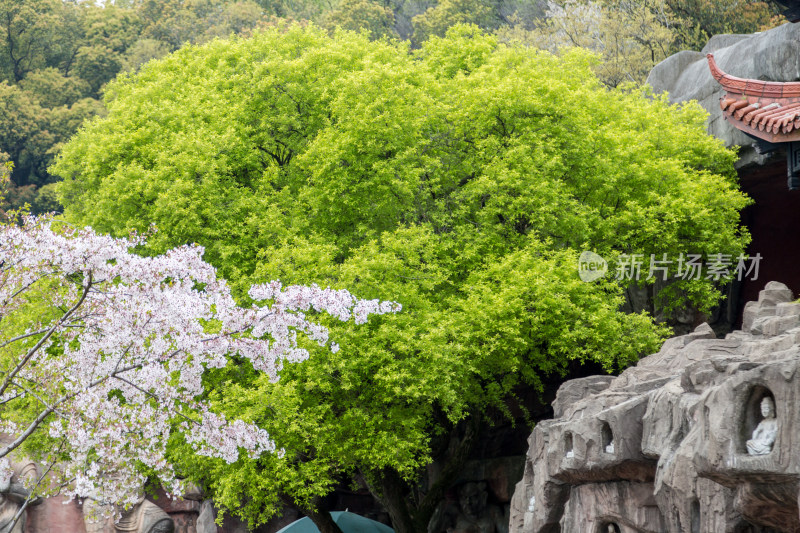 江苏无锡鼋头渚风景区