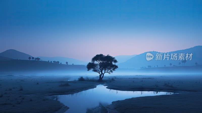 唯美自然景观湖面和树