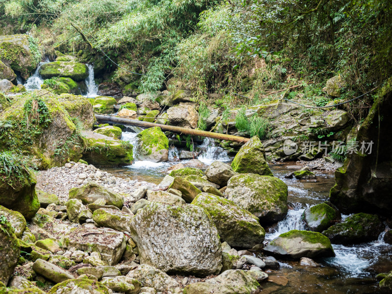 成都都江堰市青城山后山风景