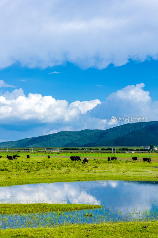 香格里拉纳帕海景区