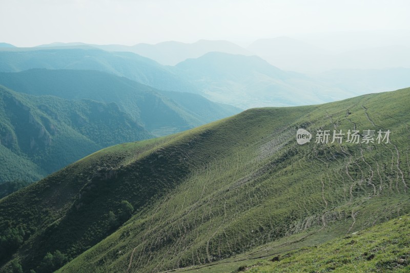 麻田岭夏季风光