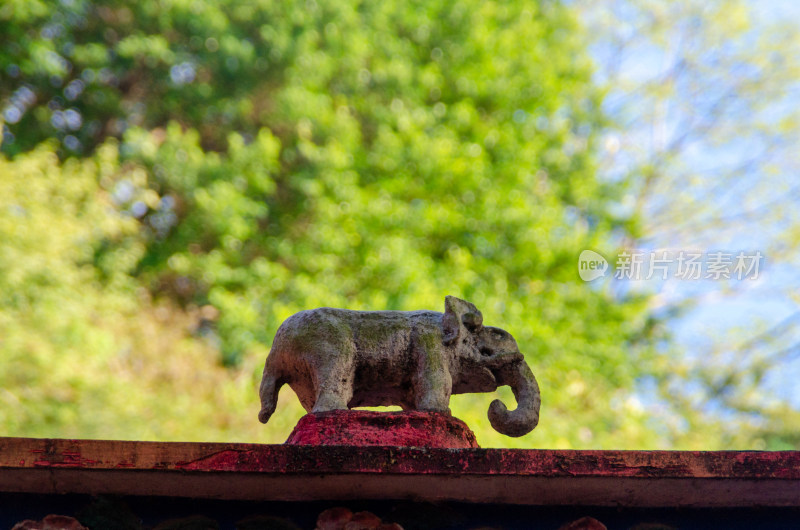 福建福州于山风景区古莲寺一个大象塑像