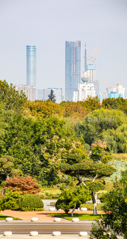 城市公园绿树与远处高楼景观