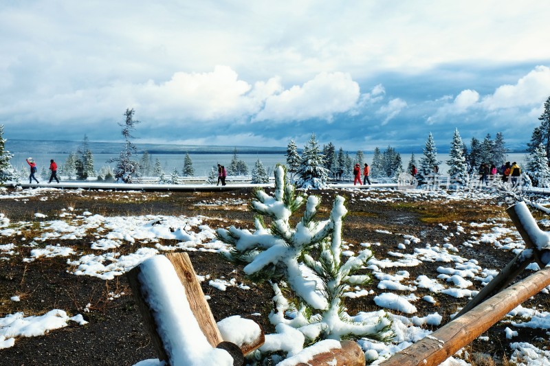 冬天森林公园雪景