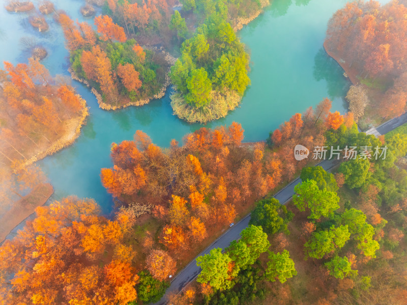 杭州西溪湿地自然风光