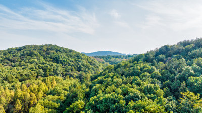 武汉马鞍山森林公园