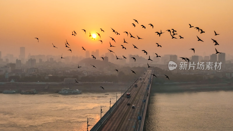 武汉长江大桥之上的日出和飞鸟航拍