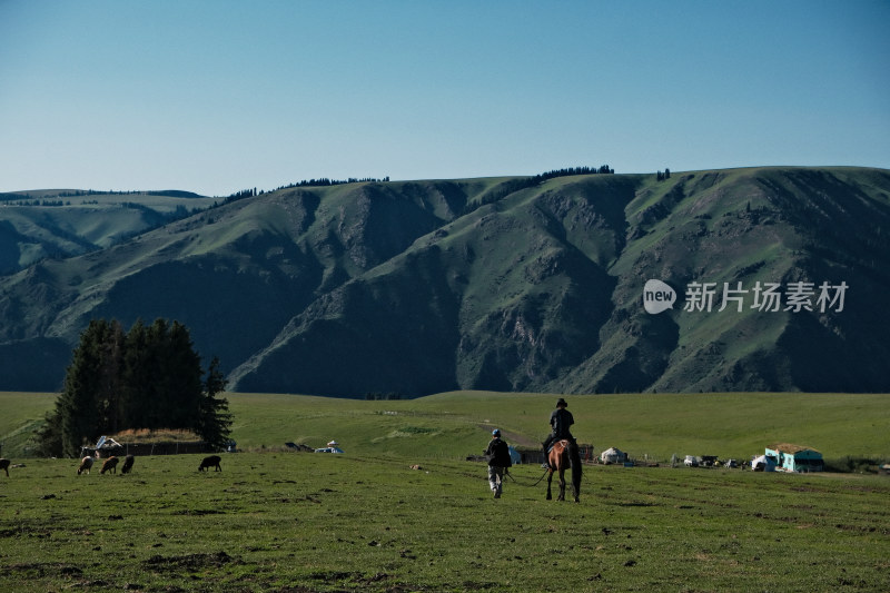 草原上骑马放牧的牧民