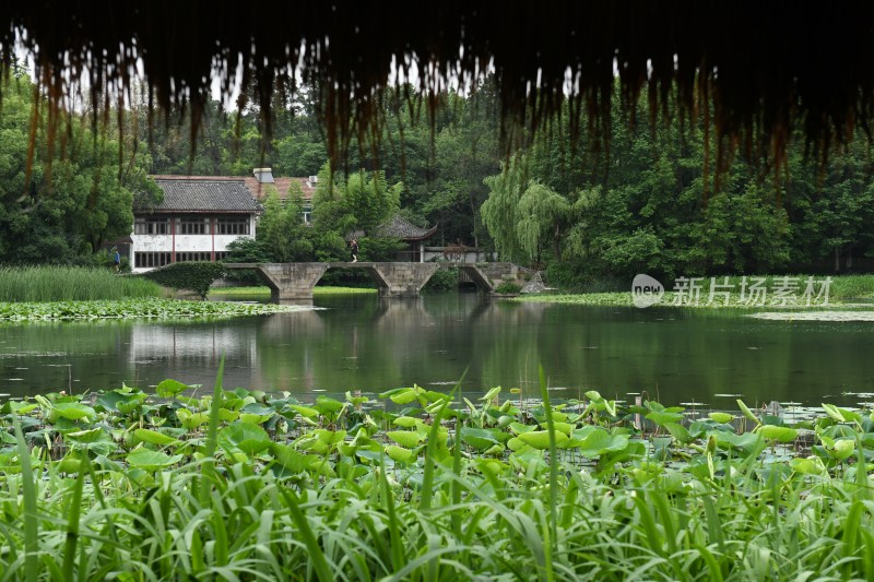 杭州三台山乌龟潭风景