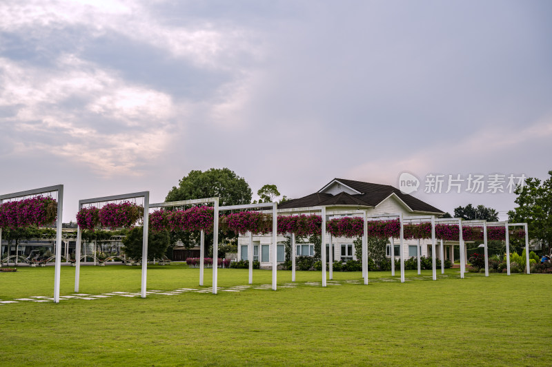 成都城市风景