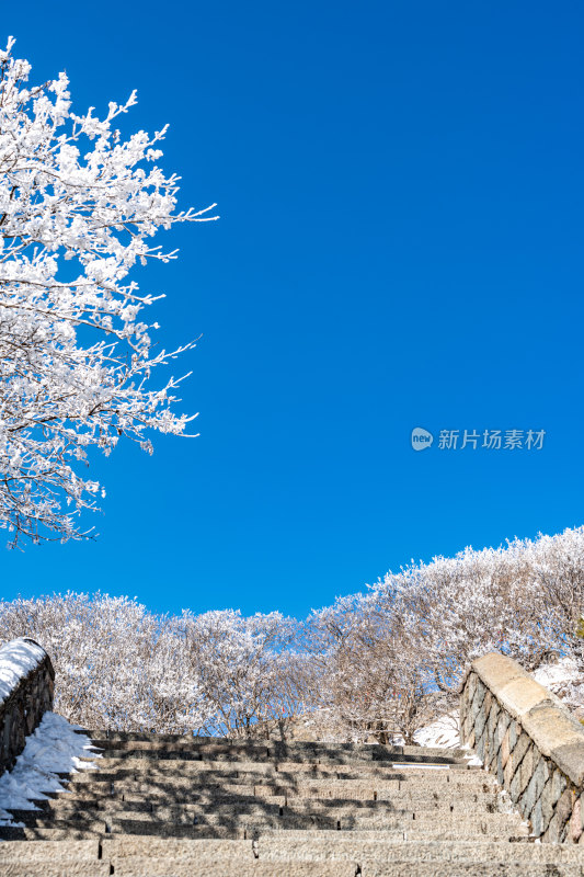 山东泰安泰山风景区雪景自然景观