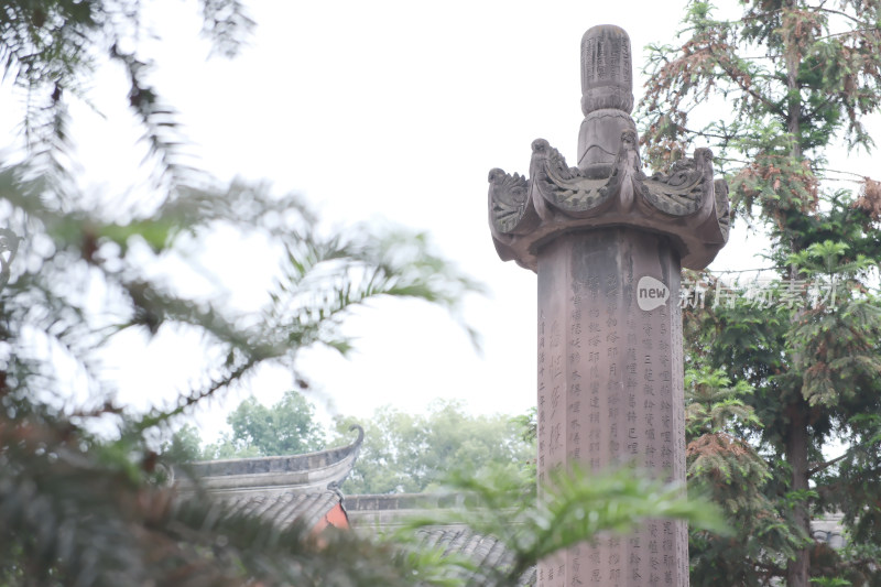 成都夏天休闲生活咖啡鲜花东郊记忆文殊院