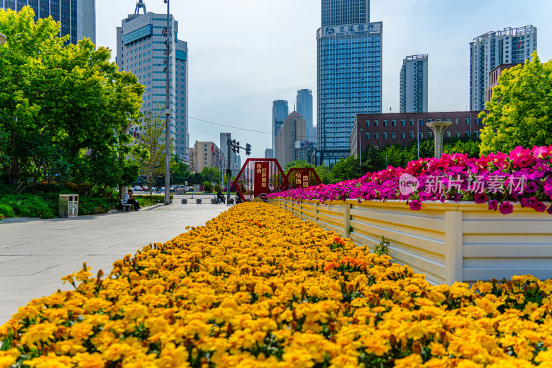 沈阳市政府广场商业建筑蓝天白云