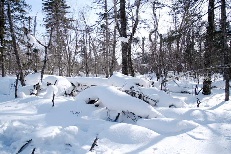 长白山雪岭冬日风光