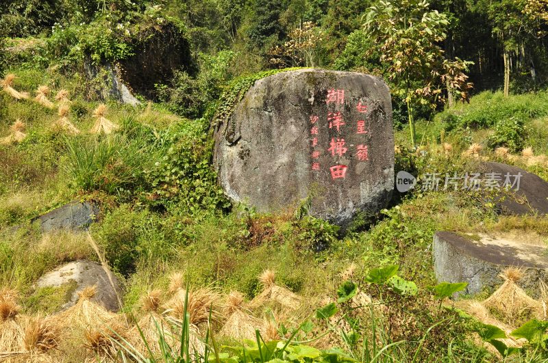 湖洋梯田  浏阳风景  自然风光