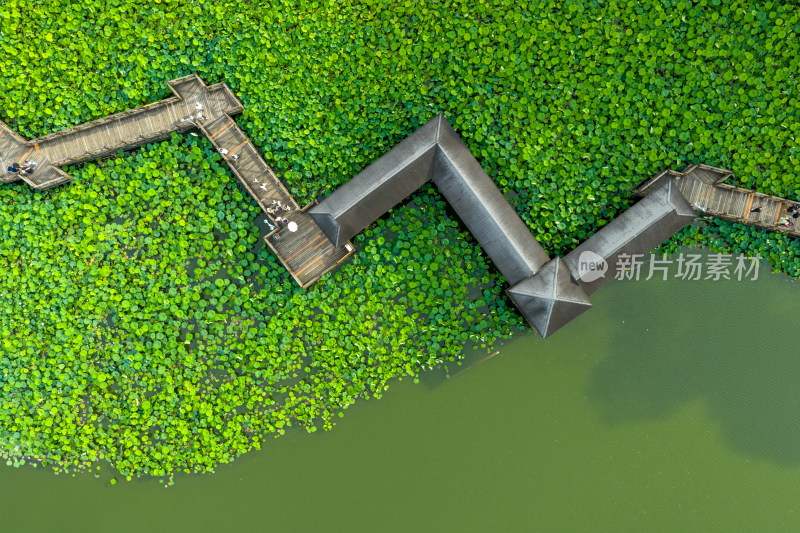 航拍福州福建农林大学校园风光