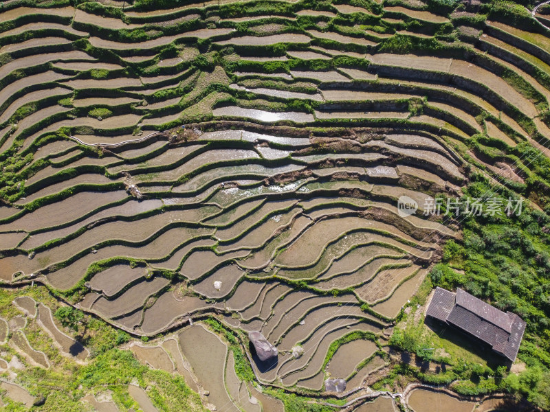 农村梯田风光