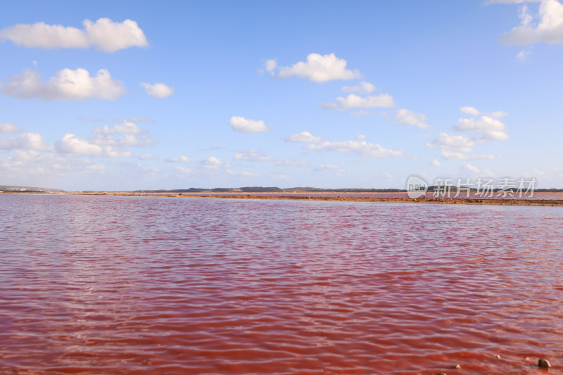 澳大利亚粉红湖