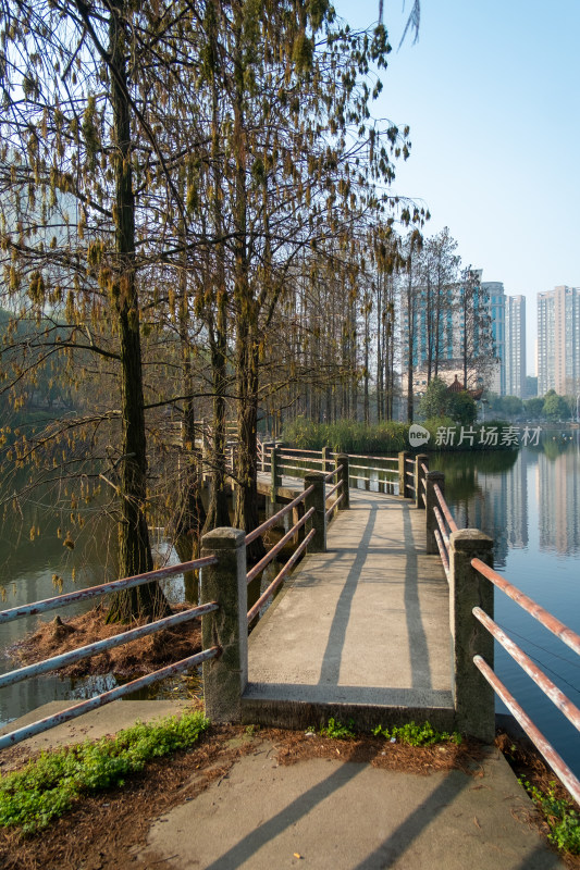 水上栈道与水边树木及远处高楼的景致