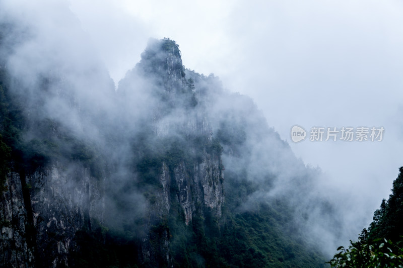 云雾缭绕的高山森林