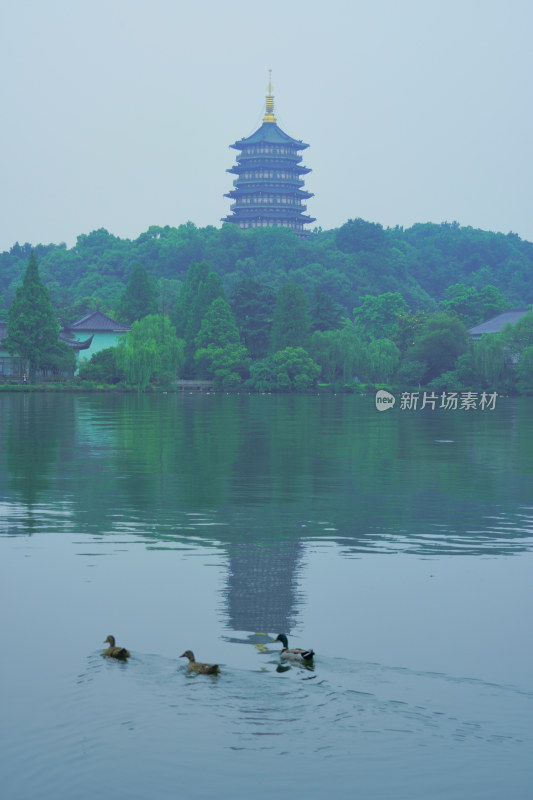 晨雾弥漫的西湖景区