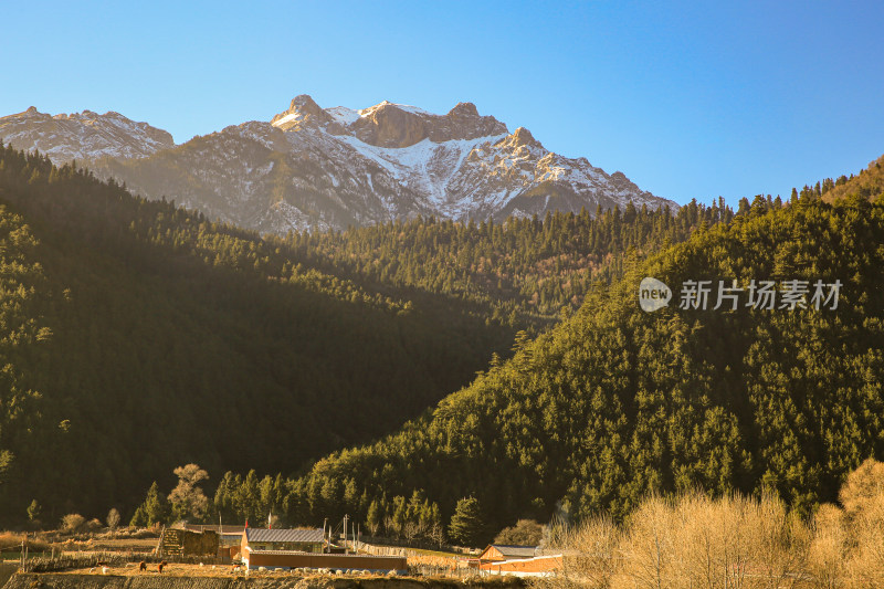 甘南州迭部县虎头山