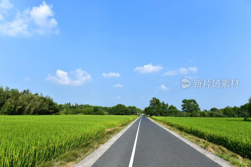 田园风光田间小路