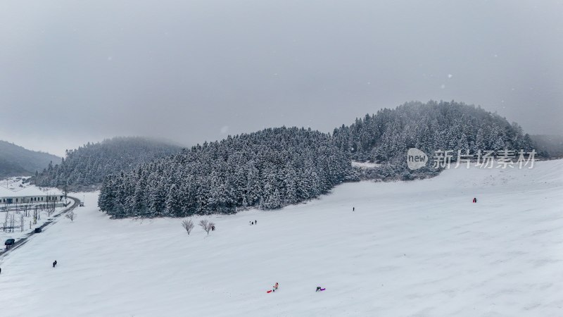 重庆酉阳：大雪纷飞赏雪忙