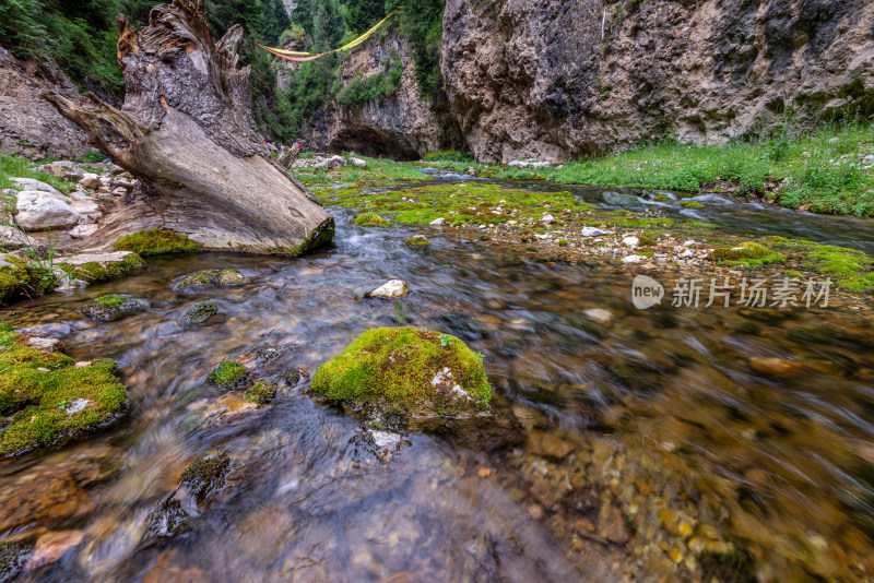 小溪水流