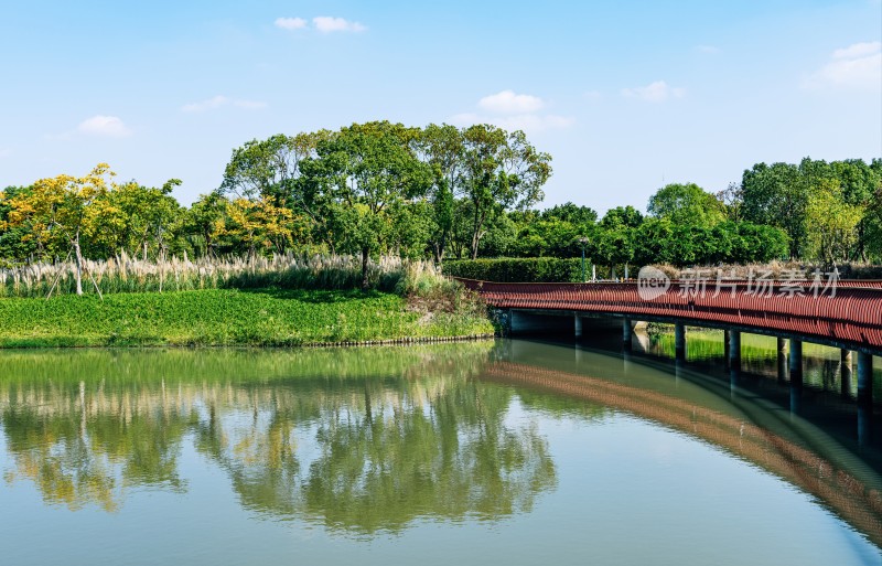 湖边红桥绿树自然风景