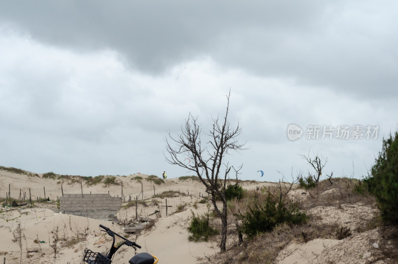 福建平潭岛沙地底的沙丘