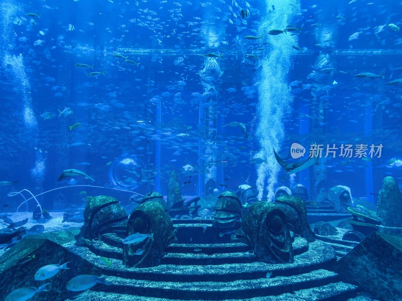 三亚亚特兰蒂斯酒店的水族馆