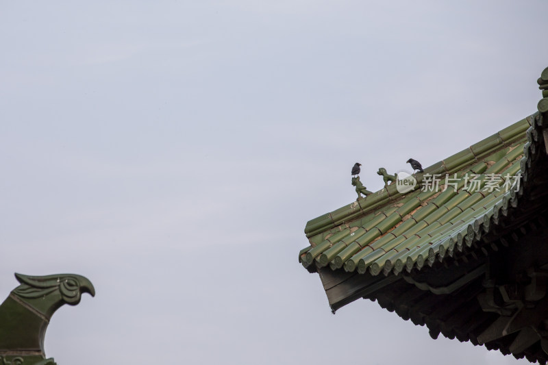 古建筑飞檐与飞鸟