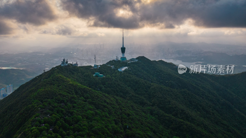 深圳梧桐山