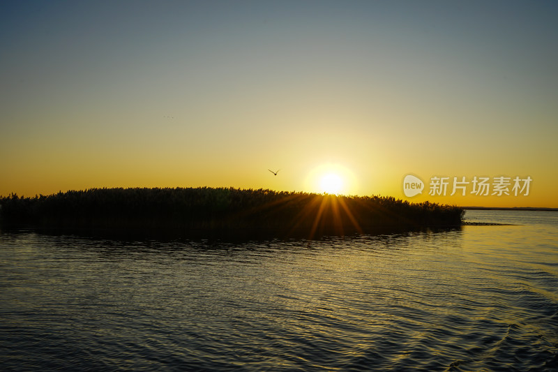 内蒙古额济纳，居延海的日出与海鸥